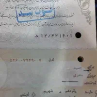 شناسنامه گم شده