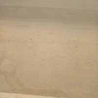 فروش قطعه ۱۴۶طبیعت