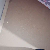 تخت دونفره|تخت و سرویس خواب|شیراز, فرگاز|دیوار