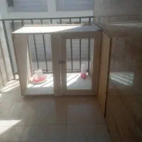 با،تخفیف دارد   خیلی  پایین گزاشتم