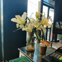 استخدام نیروی خانم (سالاد زن. ظرفشور)