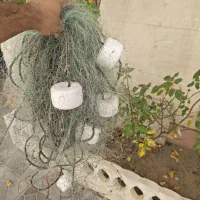 تور ماهیگیری دیواری