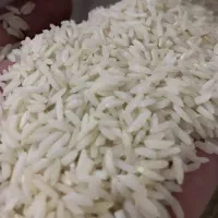 برنج درجه یک میانه