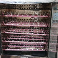 دستگاه جوجه کشی شتر مرغ|سایر لوازم برقی|کازرون, |دیوار