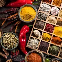 استخدام نیروی خانم