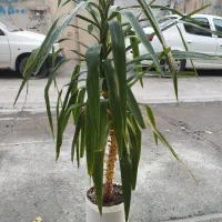 رو لباسی فروشی عکس های بعدی هم مشاهده کنید