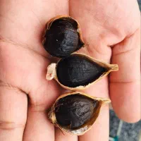 سیرسیاه درمانی|خوردنی و آشامیدنی|تهران, دکتر هوشیار|دیوار