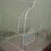 قفس بزرگ پرنده