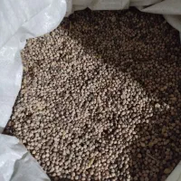 گاودانه
