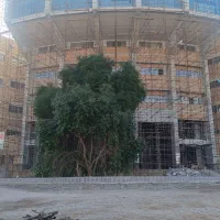 اجرای داربست|خدمات پیشه و مهارت|دوگنبدان, |دیوار