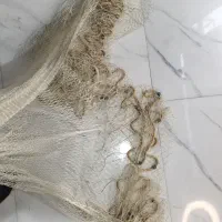 تور پرتابی سالی