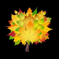 راز پر پشت شدن مژه هات