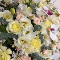 گل طبیعی|گل و گیاه طبیعی|اندیشه, شهرک صدف|دیوار