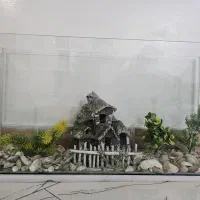 آکواریوم شیشه ای