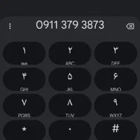 0911-379-3873