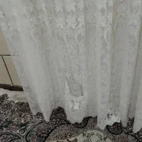 پرده تور وهمراه کتیبه|پرده، رانر، رومیزی|کارون, |دیوار