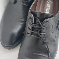 کفش ۴۴ اصلا چرم تضمینی