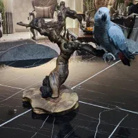 فروش و ساخت استند پرنده و آواژور  دکوری