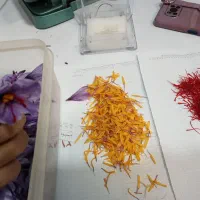 پودر و سرگل زعفران اصلی|خوردنی و آشامیدنی|تهران, زعفرانیه|دیوار