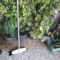 نظافت راه پله و پارکینگ