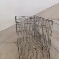 قفست کوجشک