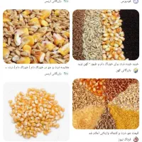 تهیه وتوزیع انواع نهادهای دامی