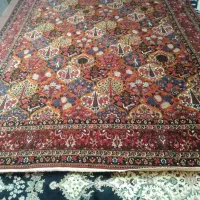 قالی بی نظیر و تک بدون نقص|فرش|شهرکرد, |دیوار