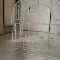 قفس پرنده سفید رنگ