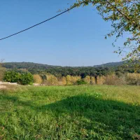 ۱۹۰۰ متر زمین دارای بنای ۴۵ متری و اجازه ساخت|فروش زمین و ملک کلنگی|پایین هولار, |دیوار