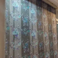 2 عدد پرده زبرا