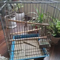 قفس پرنده سایز بزرگ|لوازم جانبی حیوانات|گرگان, |دیوار