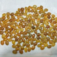 ثبت نام شرف شمس