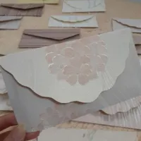 پاکت سکه وکارت هدیه شیک وفانتزی