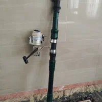 لنسر ماهیگیری اصل|ماهیگیری|قم, چهل درخت‎|دیوار