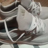 کتونی adidas اصل وecco اصل|کیف، کفش، کمربند|تهران, تهرانویلا|دیوار