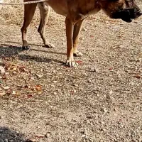 واگزاری 17ماه