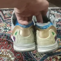 zx8000 اکومنت ساموا|کیف، کفش، کمربند|شاهدشهر, |دیوار