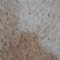 برنج طارم هاشمی