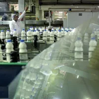 استخدام در کارخانه لبنیات عراق