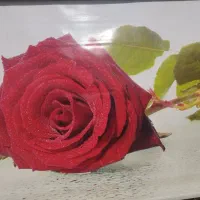 پرده اوپن