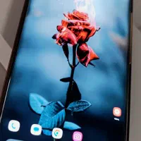 داریا باند|موبایل|پرند, فاز ۴|دیوار