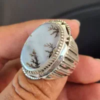 انگشتر شجر قائنات دوقاب