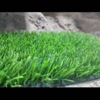 پارکت/گلدان/سبز/باغ/ویلا|گل مصنوعی|قم, زند آباد|دیوار