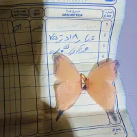 پلاک مینیمال پروانه
