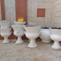 گلدان سلطنتی|گل و گیاه طبیعی|خور (فارس), |دیوار