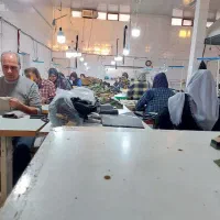 چرخکار و کمک چرخکار  و زیکزال زن