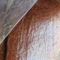 لواشک الو