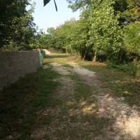 500متر زمین سند تک برگ با پروانه شاخت|فروش زمین و ملک کلنگی|شاندرمن, |دیوار