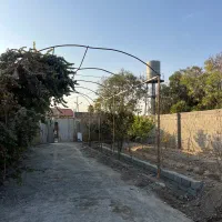 باغچه|فروش زمین و ملک کلنگی|ماهدشت, |دیوار