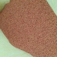 گندم بذری درجه یک دیم|خدمات باغبانی و درختکاری|کنگاور, |دیوار